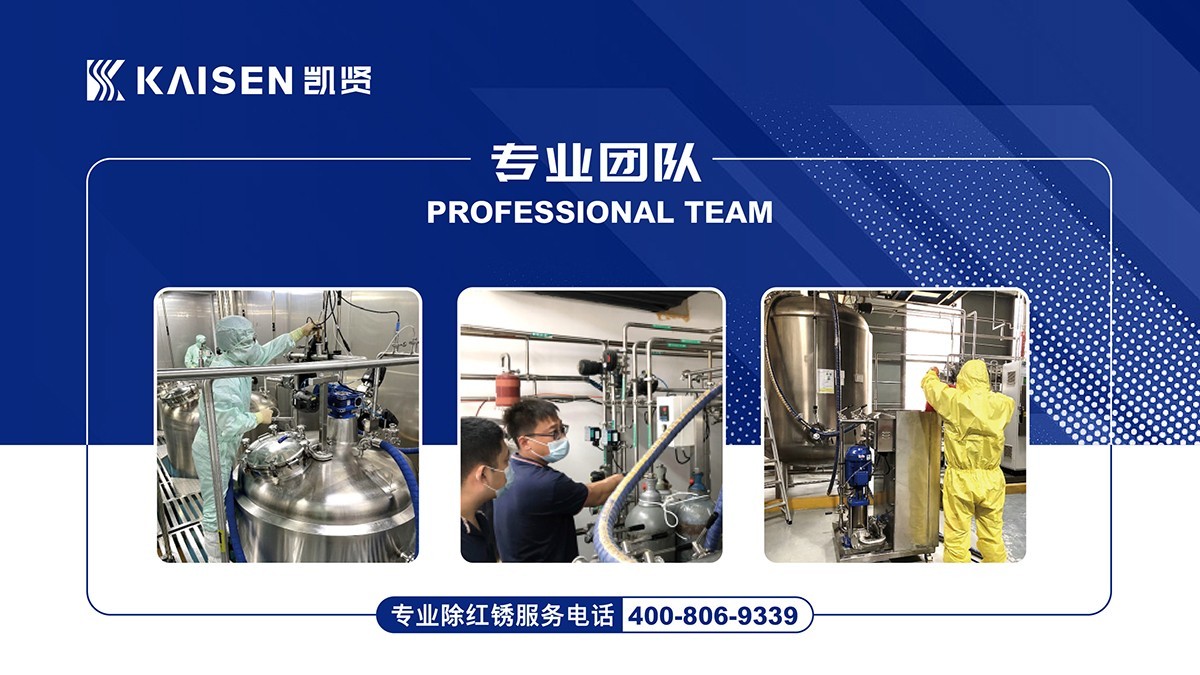 Pharmaceutical Derouging and Passivation Services